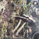 Gravitate_Sessions_-_Furthur_Preparation_-_The_Hermit_artwork