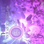 The_Hermit_-_Live_at_Gibs_-_2-24-2024